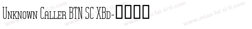 Unknown Caller BTN SC XBd字体转换